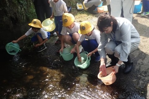 Three NOK Group companies in the Kitaibaraki area participate in an activity to release young ayu fish into the Okita River. They release 30 kg of young ayu fish with local elementary school students, supporting environmental conservation in Kitaibaraki City. Three NOK Group companies in the Kitaibaraki area participate in an activity to release young ayu fish into the Okita River. They release 30 kg of young ayu fish with local elementary school students, supporting environmental conservation in Kitaibaraki City.