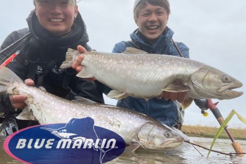 The One about Blue Marlin Tackle Shop’s video on catching a red sea bream The One about Blue Marlin Tackle Shop’s video on catching a red sea bream
