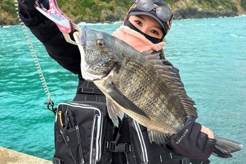 The One about Luna’s Fishing Diary trying sabiki and live bait fishing with a fishing rod from Daiso The One about Luna’s Fishing Diary trying sabiki and live bait fishing with a fishing rod from Daiso