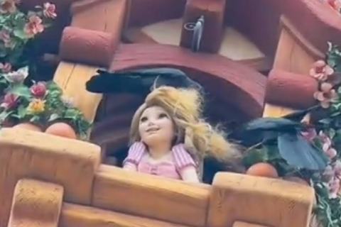 The One about Beware of crows in spring! They’ve caused train delays and even affected Tokyo DisneySea… Power outages due to nest building. The One about Beware of crows in spring! They’ve caused train delays and even affected Tokyo DisneySea… Power outages due to nest building.