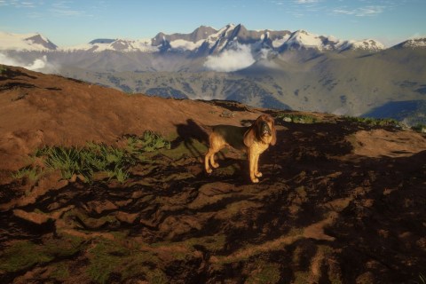 The One about “theHunter: Call of the Wild” – Bloodhound DLC The One about “theHunter: Call of the Wild” – Bloodhound DLC