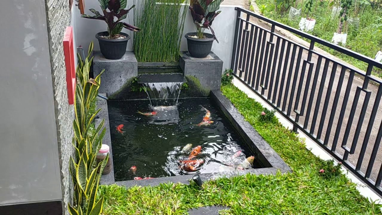 Kolam Ikan Depan Rumah 10 Model Kolam Ikan Mini Depan Rumah Untuk Lahan Sempit Kolam Ikan Depan Rumah 10 Model Kolam Ikan Mini Depan Rumah Untuk Lahan Sempit