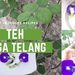 Cara Memasak Bunga Telang Resep dan Variasi Lezat Cara Memasak Bunga Telang Resep dan Variasi Lezat