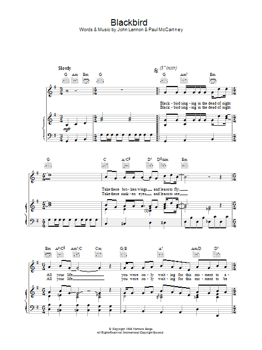 Blackbird Blackbird