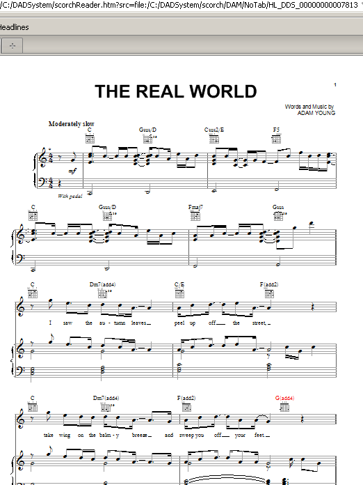 The Real World The Real World