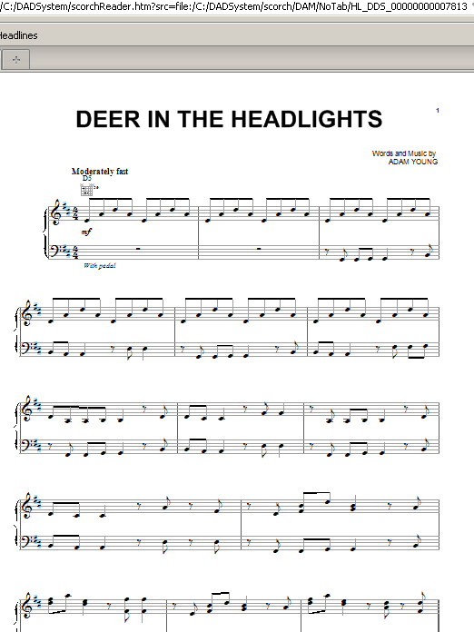 Deer In The Headlights Deer In The Headlights