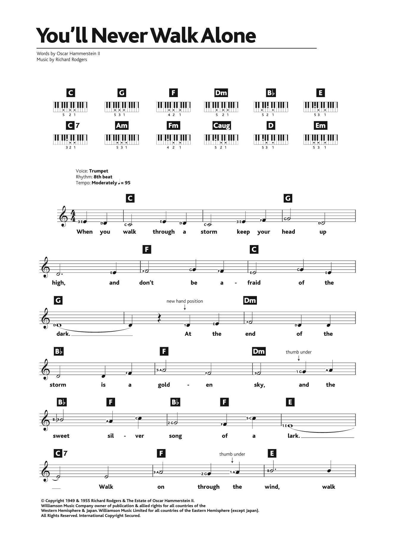 You’ll Never Walk Alone (from Carousel) You’ll Never Walk Alone (from Carousel)