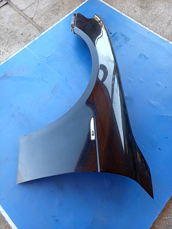 Aripă – Culoare: Negru, Parte montare: Stânga  – BMW 7 Series E65/E66 [2001 – 2005] Sedan 4-doors 730d AT (218 hp)