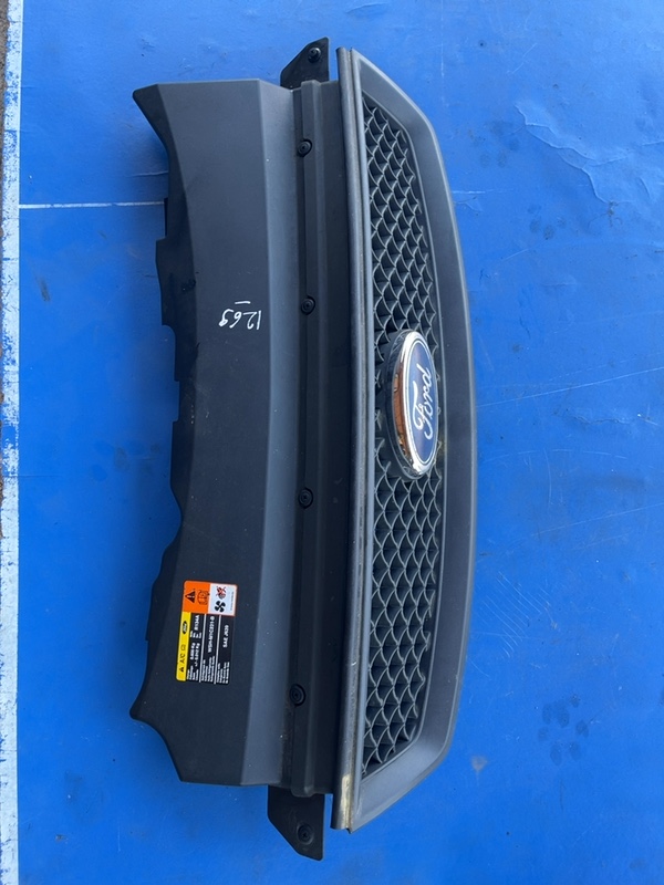 Grilă radiator – Ford Focus 2 generation [2004 – 2008] wagon 5-doors 1.6 TDCi MT (109 hp)