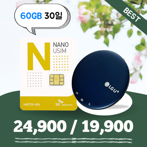 [데이타팡] SKT 휴대용 와이파이 30일 60GB (평일기준 오후3시까지 주문시 당일출고), 처음이용, 1개