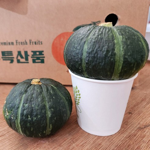 제주 세척 미니 밤호박 보우짱 소과, 1개, 5kg