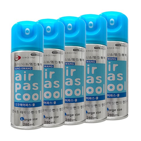 성광 에어파스 쿨 스프레이 280ml x5개 뿌리는파스, 1개입, 5개
