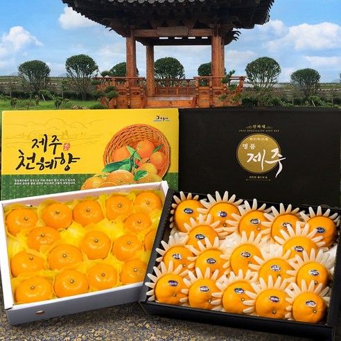 [인하네] 품질보증 제주 천혜향 3kg 5kg 과일 선물 세트 가정용 선물용, 1박스, 천혜향_3kg_가정용(작은향)