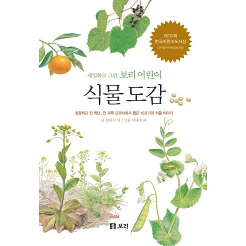 식물 도감:초등학교 전 학년 전 과목 교과서에서 뽑은 160가지 식물 이야기, 보리