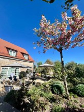 5 Tage - Genussreise ins Schwäbische! 5 Tage - Genussreise ins Schwäbische!