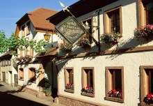 Entdeckerwoche in der Pfalz- Wein genießen und Natur erleben Entdeckerwoche in der Pfalz- Wein genießen und Natur erleben