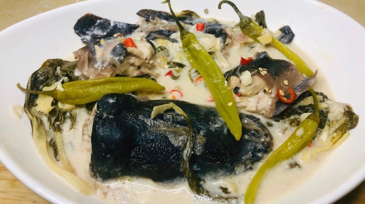 Resep Patin Bumbu Kuning Santan: Nikmat, Gurih, dan Bikin Nagih Resep Patin Bumbu Kuning Santan: Nikmat, Gurih, dan Bikin Nagih