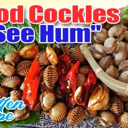 Resep Olahan Kerang Dara: Nikmati Hidangan Laut yang Lezat dan Bergizi Resep Olahan Kerang Dara: Nikmati Hidangan Laut yang Lezat dan Bergizi
