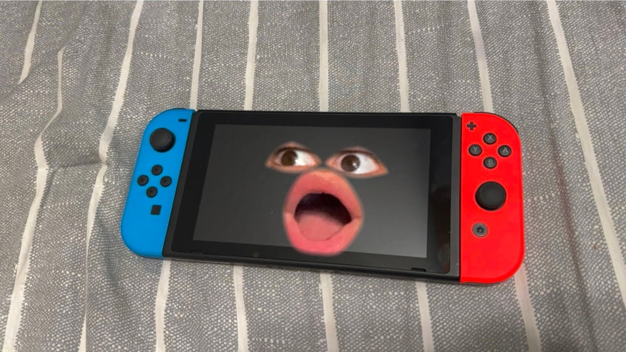 Life of A Nintendo Switch Life of A Nintendo Switch