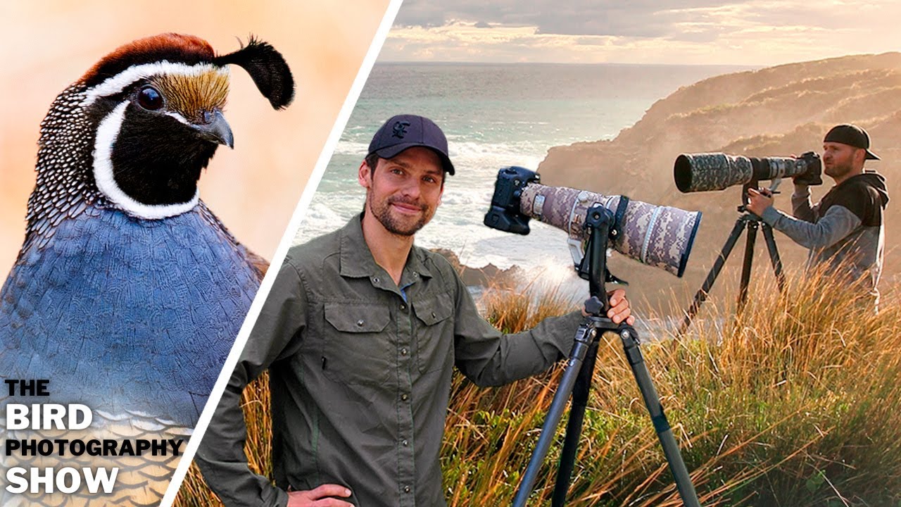 STOP Missing Out On EPIC Bird Photos! Embrace The STOP Missing Out On EPIC Bird Photos! Embrace The