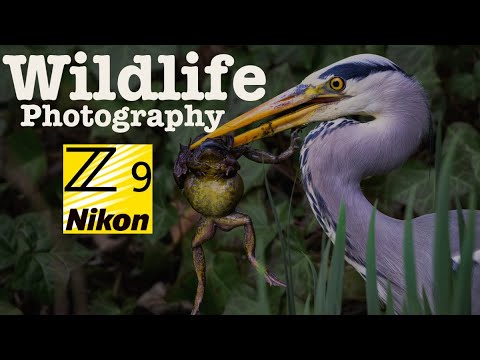 Reddish Vale with POPS Reddish Vale with POPS