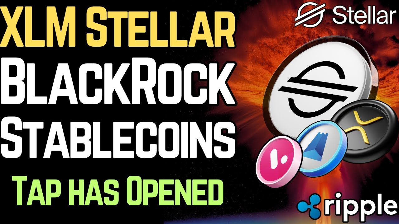 XLM Stellar is the BACKBONE of Blockchain XLM Stellar is the BACKBONE of Blockchain