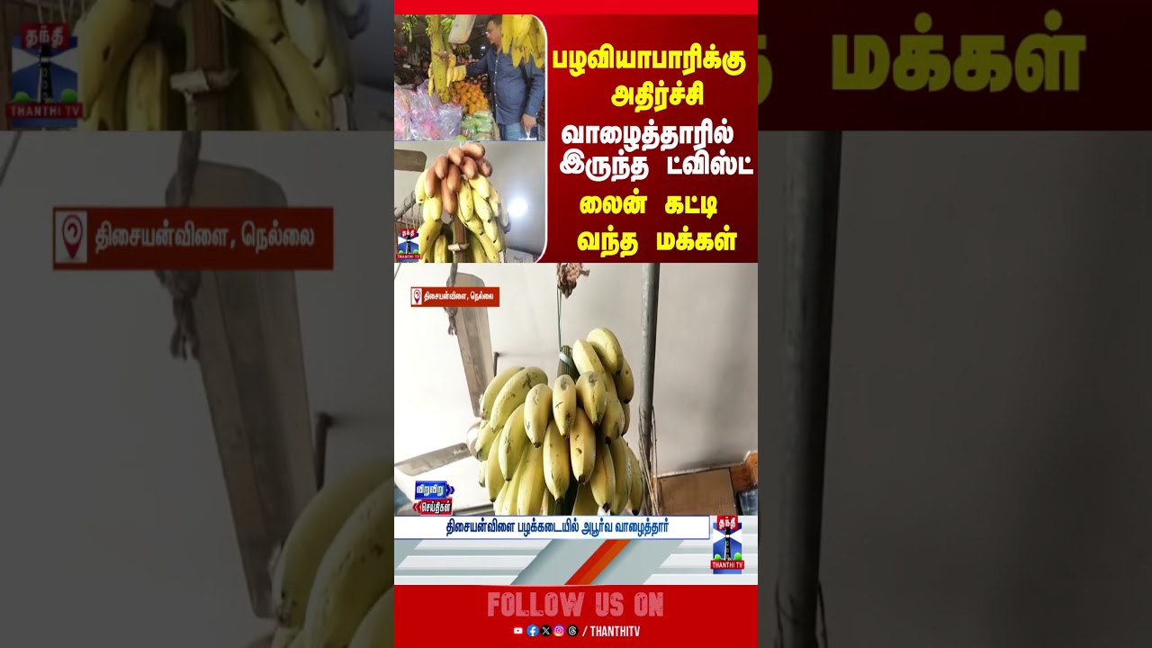 thirunelveli | banana | vendor | thanthitv thirunelveli | banana | vendor | thanthitv