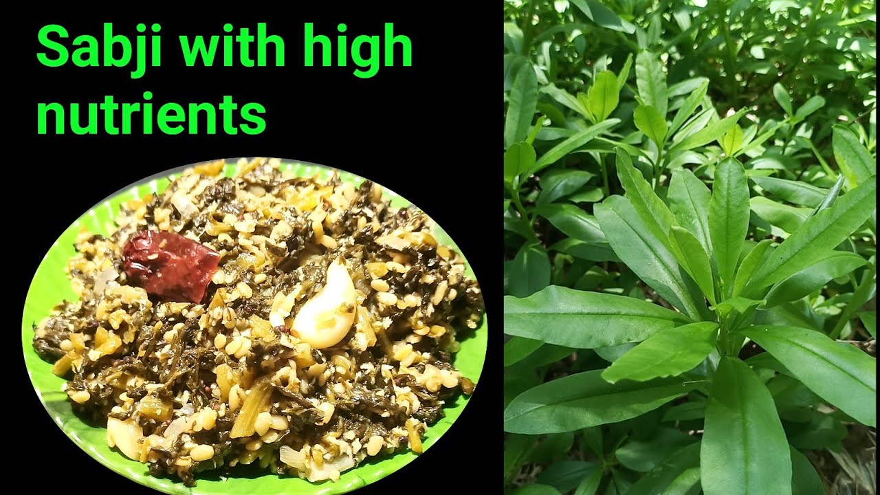 ಹೆಚ್ಚಿನ ಪೋಷಕಾಂಶವಿರುವ ಸೊಪ್ಪಿನ ಪಲ್ಯ 👌 konkani recipes| palya recipe in kannada ಹೆಚ್ಚಿನ ಪೋಷಕಾಂಶವಿರುವ ಸೊಪ್ಪಿನ ಪಲ್ಯ 👌 konkani recipes| palya recipe in kannada