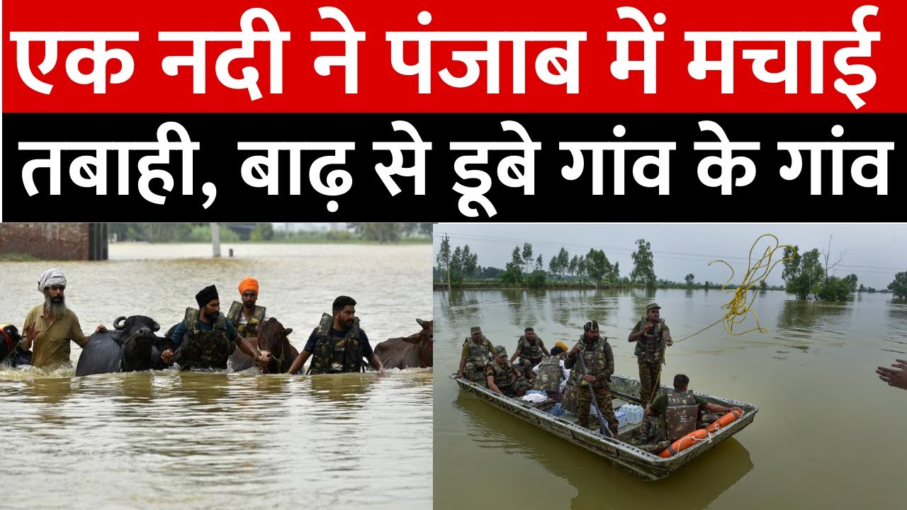 Punjab Flood Update: पंजाब में सतलुज का कहर! बाढ़ से 1 हजार से ज्यादा गांव डूबे, किया जा रहा Rescue Punjab Flood Update: पंजाब में सतलुज का कहर! बाढ़ से 1 हजार से ज्यादा गांव डूबे, किया जा रहा Rescue
