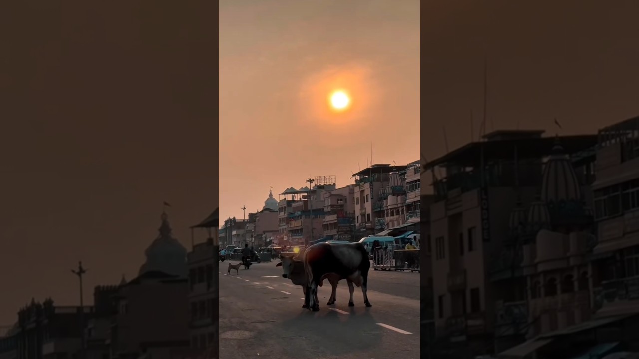 basi chanti mana mari sakhi gopala#ytshorts #love #song #jagannath basi chanti mana mari sakhi gopala#ytshorts #love #song #jagannath