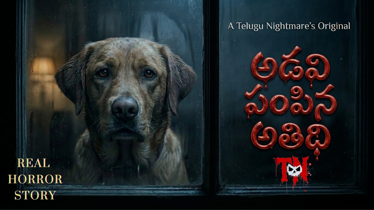 అడవి పంపిన అతిథి | Sent by the Forest | Real Telugu Horror Story అడవి పంపిన అతిథి | Sent by the Forest | Real Telugu Horror Story
