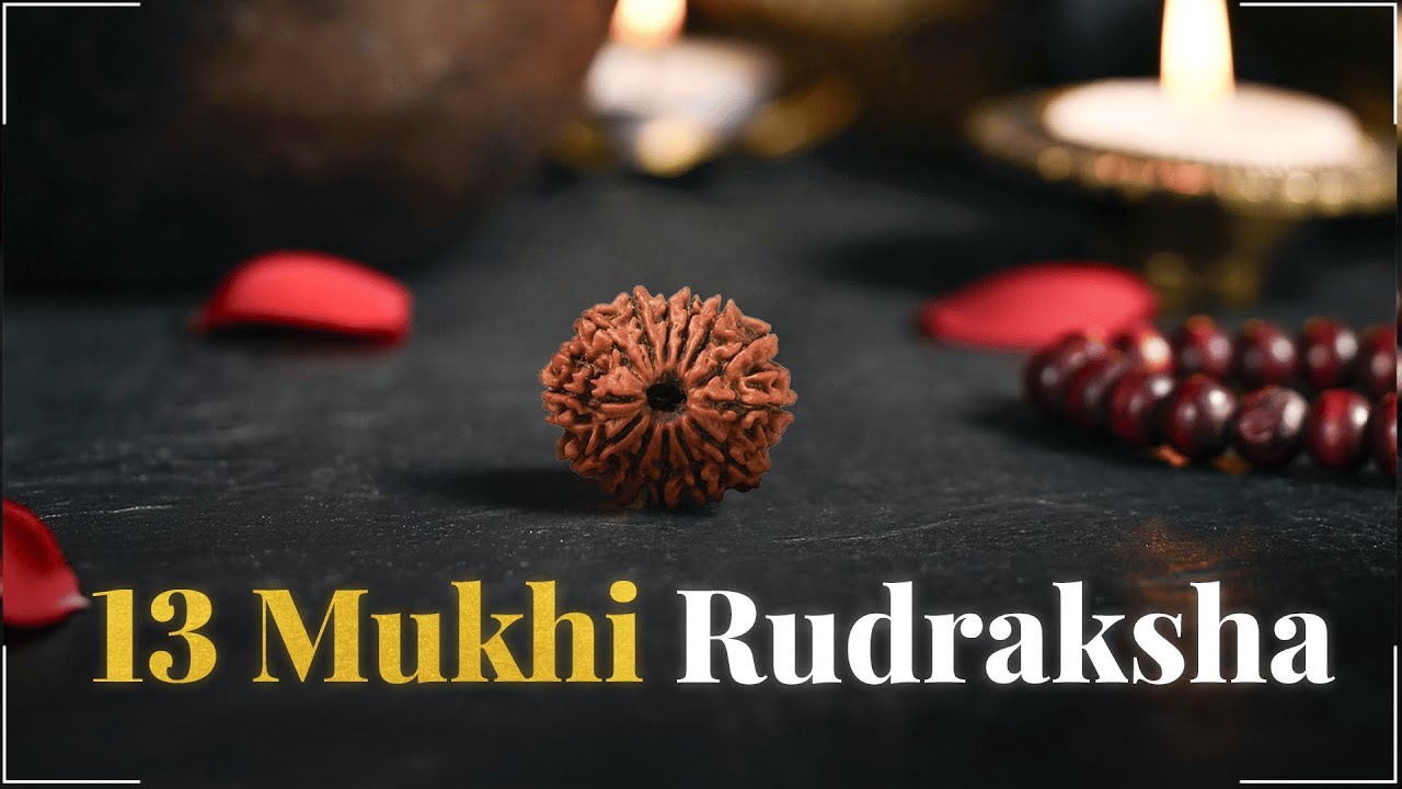 13 Mukhi Rudraksha – The Rudraksha of Charm, Attraction & Manifestation | Blessed by Indra & Kamdev 13 Mukhi Rudraksha – The Rudraksha of Charm, Attraction & Manifestation | Blessed by Indra & Kamdev