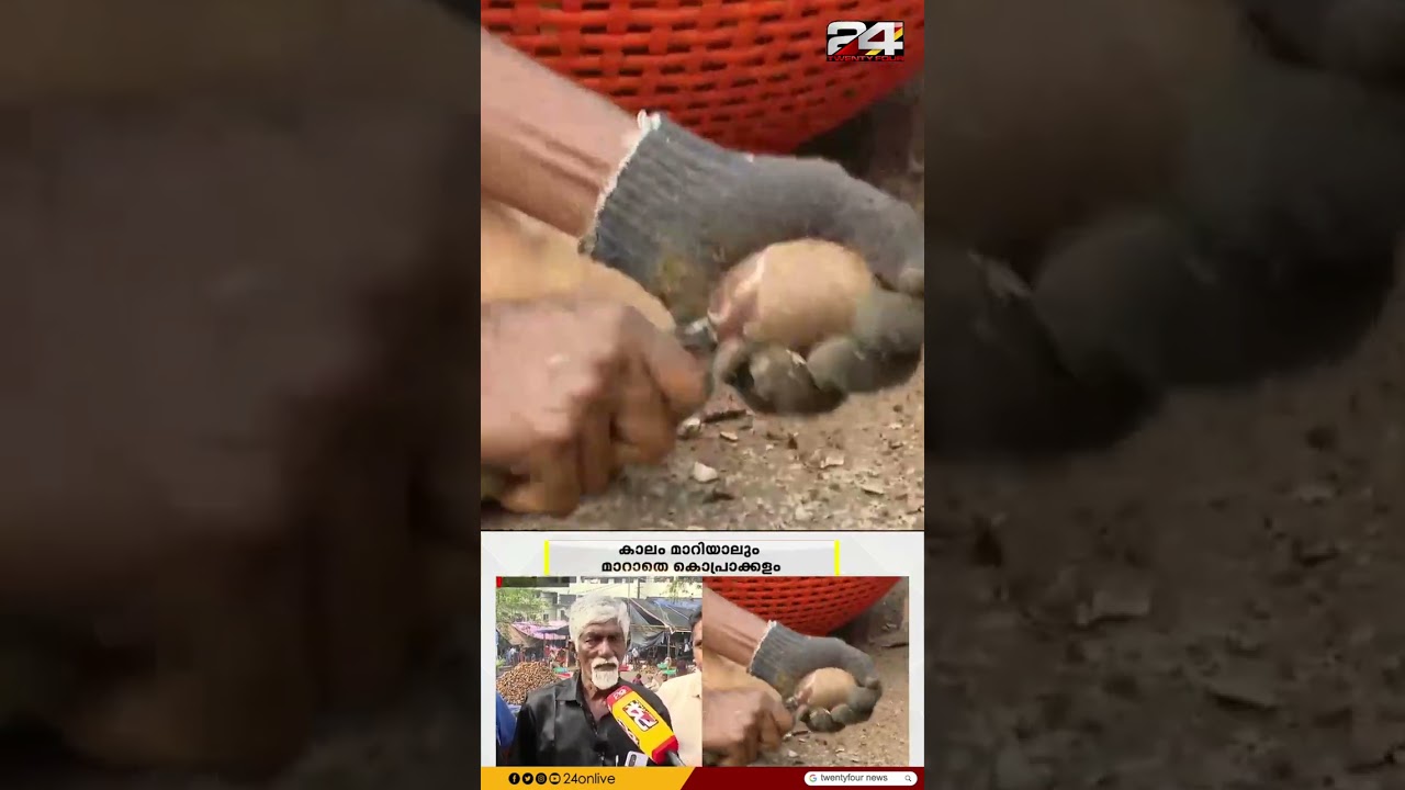 കാലം മാറിയാലും മാറാതെ കൊപ്രാക്കളം; 12 കോടിയോളം രൂപയാണ് ഒരു വർഷത്തെ കരാർ തുക കാലം മാറിയാലും മാറാതെ കൊപ്രാക്കളം; 12 കോടിയോളം രൂപയാണ് ഒരു വർഷത്തെ കരാർ തുക