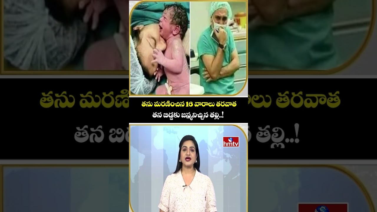 TO THE POINT : తను మరణించిన 16 వారాలు తరవాత తన బిడ్డకు జన్మనిచ్చిన తల్లి..! | hmtv TO THE POINT : తను మరణించిన 16 వారాలు తరవాత తన బిడ్డకు జన్మనిచ్చిన తల్లి..! | hmtv