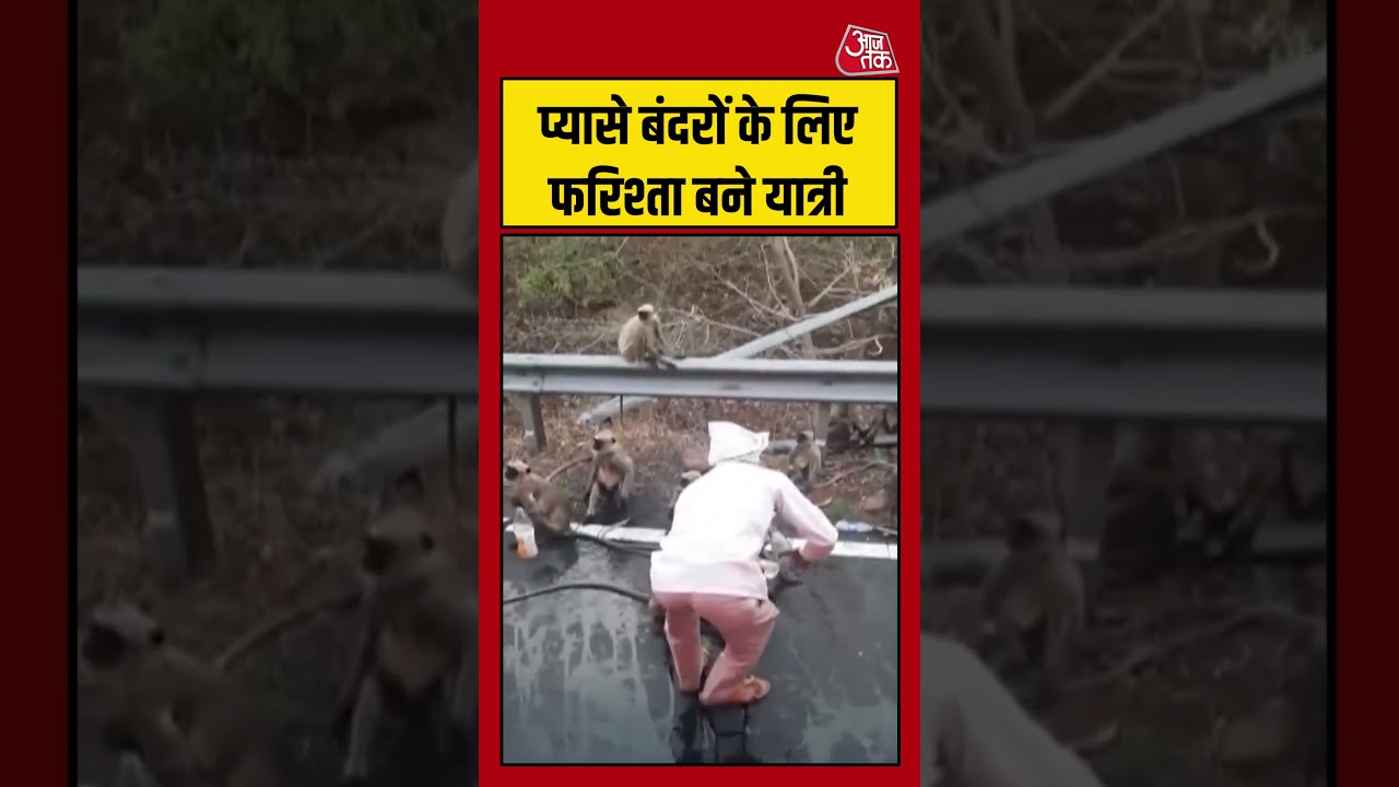 Viral | प्यासे बंदरों के लिए फरिश्ता बने यात्री #viral #shorts #trending #aajtak Viral | प्यासे बंदरों के लिए फरिश्ता बने यात्री #viral #shorts #trending #aajtak