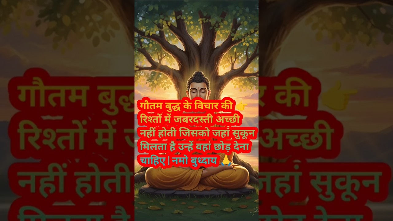 गौतम बुद्ध के विचार की रिश्तों में जबरदस्ती अच्छी नहीं होती | #shorts #ytshorts #हर दिन एक सीख गौतम बुद्ध के विचार की रिश्तों में जबरदस्ती अच्छी नहीं होती | #shorts #ytshorts #हर दिन एक सीख