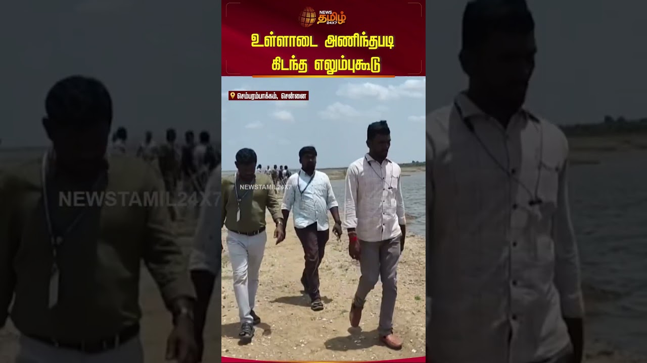 உள்ளாடை அணிந்தபடி கிடந்த எலும்புகூடு | Chennai | Skeleton Issue உள்ளாடை அணிந்தபடி கிடந்த எலும்புகூடு | Chennai | Skeleton Issue