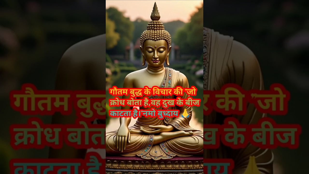 गौतम बुद्ध के विचार की सीखना काम ही सफलता की पहचान है | भाग 2 positivevibes #हर दिन एक सीख गौतम बुद्ध के विचार की सीखना काम ही सफलता की पहचान है | भाग 2 positivevibes #हर दिन एक सीख