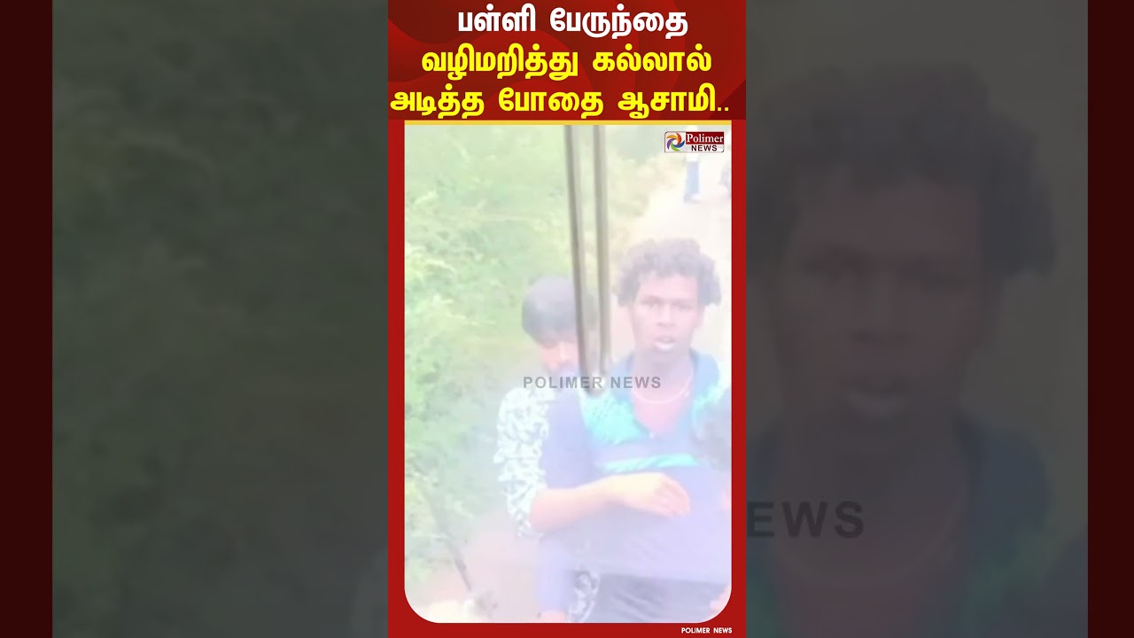பள்ளி பேருந்தை வழிமறித்து கல்லால் அடித்த போதை ஆசாமி.. | #shorts பள்ளி பேருந்தை வழிமறித்து கல்லால் அடித்த போதை ஆசாமி.. | #shorts