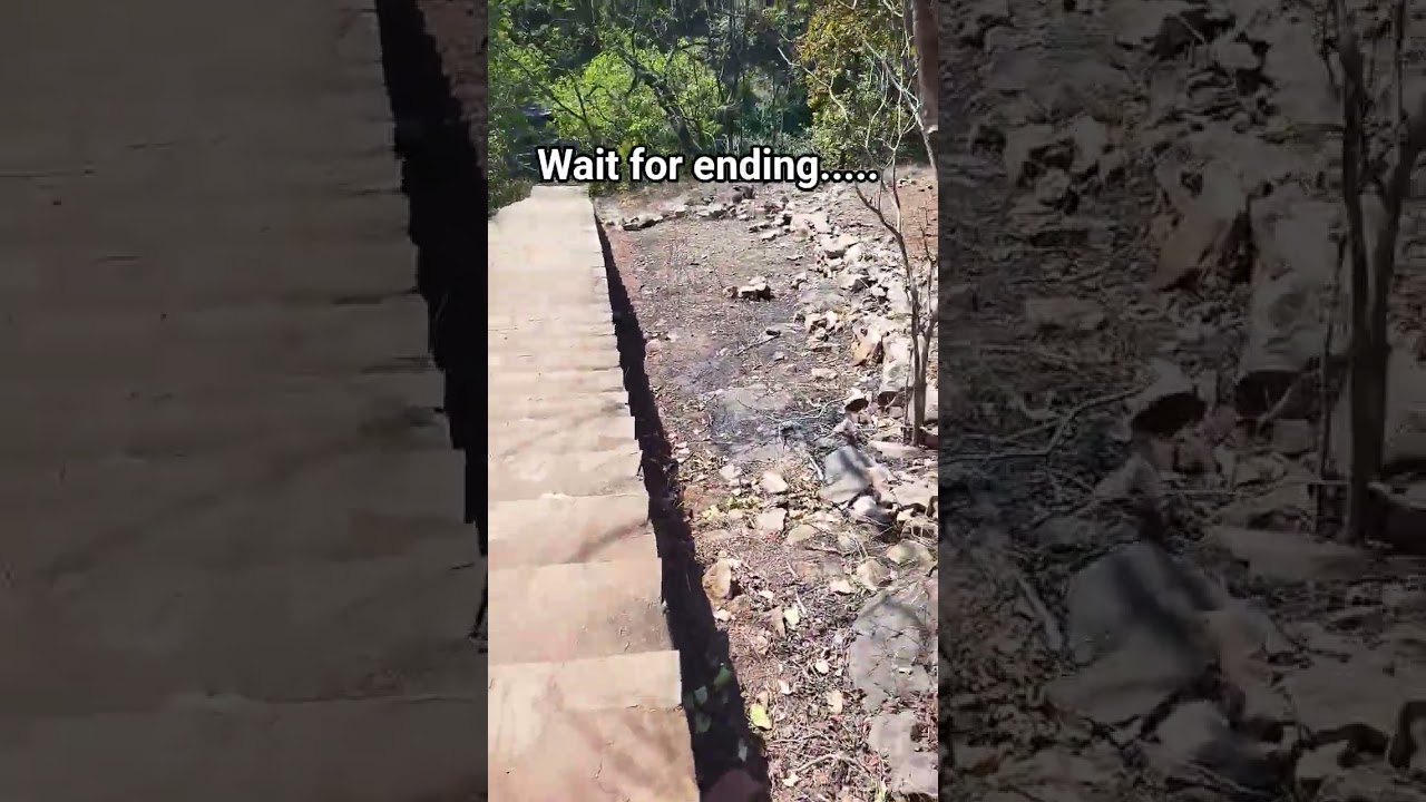 scary video भूत #horror #ghost #horrortok #horrorstories #bhoot #scarystories #bhootwala #scary #yt scary video भूत #horror #ghost #horrortok #horrorstories #bhoot #scarystories #bhootwala #scary #yt