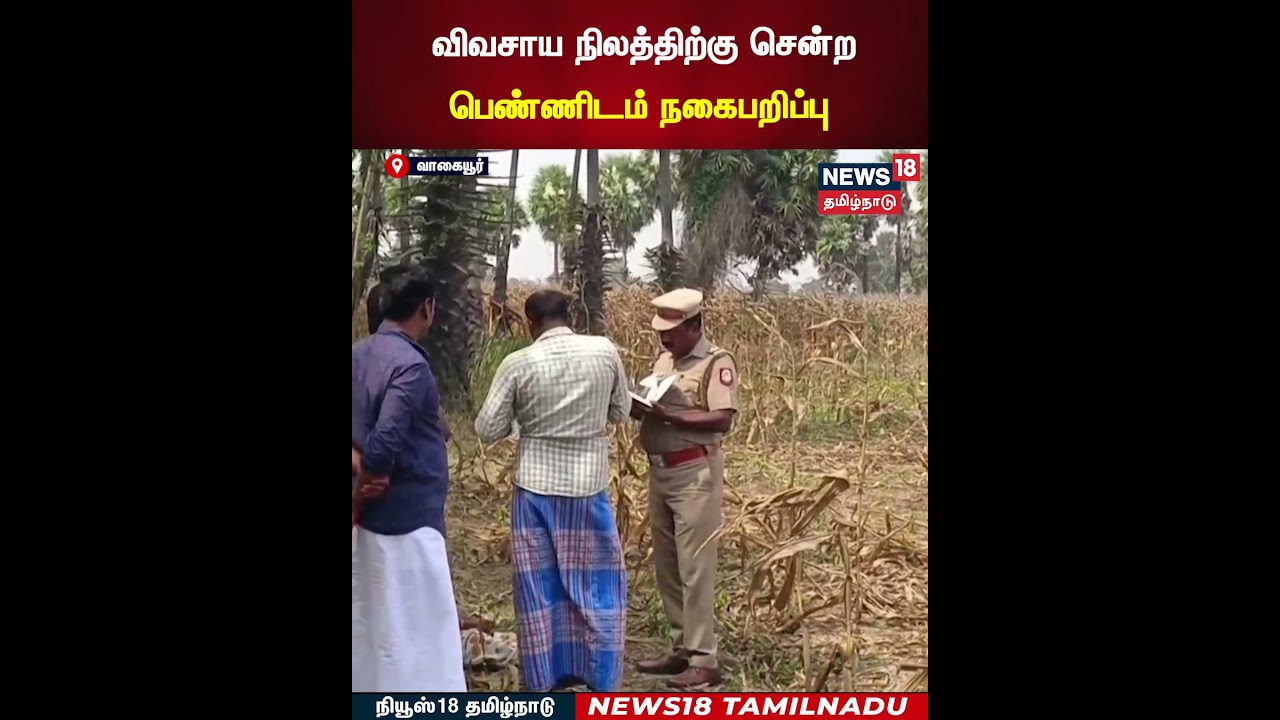 Chain Snatch | மக்காச்சோள விவசாய நிலத்திற்கு சென்ற பெண்ணிடம் நகைபறிப்பு | N18S Chain Snatch | மக்காச்சோள விவசாய நிலத்திற்கு சென்ற பெண்ணிடம் நகைபறிப்பு | N18S