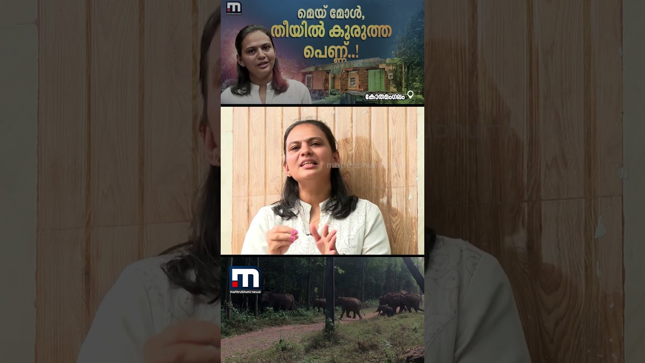 നിയമം പഠിച്ചെടുത്തു, ഹൈക്കോടതിയിൽ കേസ് വാദിച്ചു; മെയ് മോളുടെ ഈ വിജയത്തിന് ഇരട്ടിമധുരം | Highcourt നിയമം പഠിച്ചെടുത്തു, ഹൈക്കോടതിയിൽ കേസ് വാദിച്ചു; മെയ് മോളുടെ ഈ വിജയത്തിന് ഇരട്ടിമധുരം | Highcourt