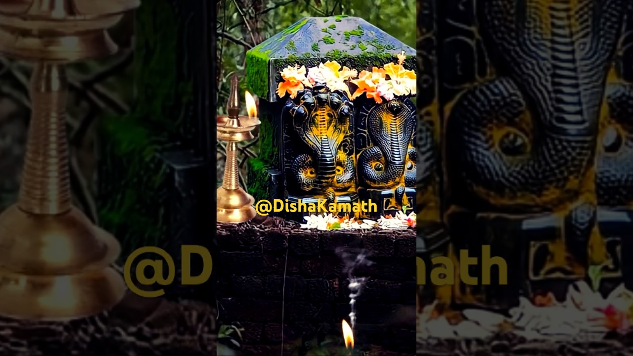Nag Devta Aarti #nagpanchami #nagpanchamistatus #nagdevta #nagdev #naagin Nag Devta Aarti #nagpanchami #nagpanchamistatus #nagdevta #nagdev #naagin