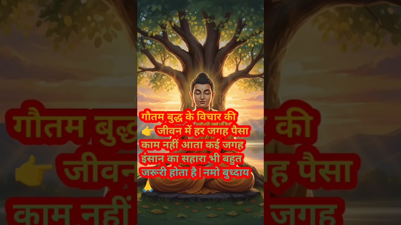 गौतम बुद्ध के विचार की जीवन में हर जगह पैसा काम नहीं आता | भाग 1 #shorts #ytshorts #हर दिन एक सीख गौतम बुद्ध के विचार की जीवन में हर जगह पैसा काम नहीं आता | भाग 1 #shorts #ytshorts #हर दिन एक सीख