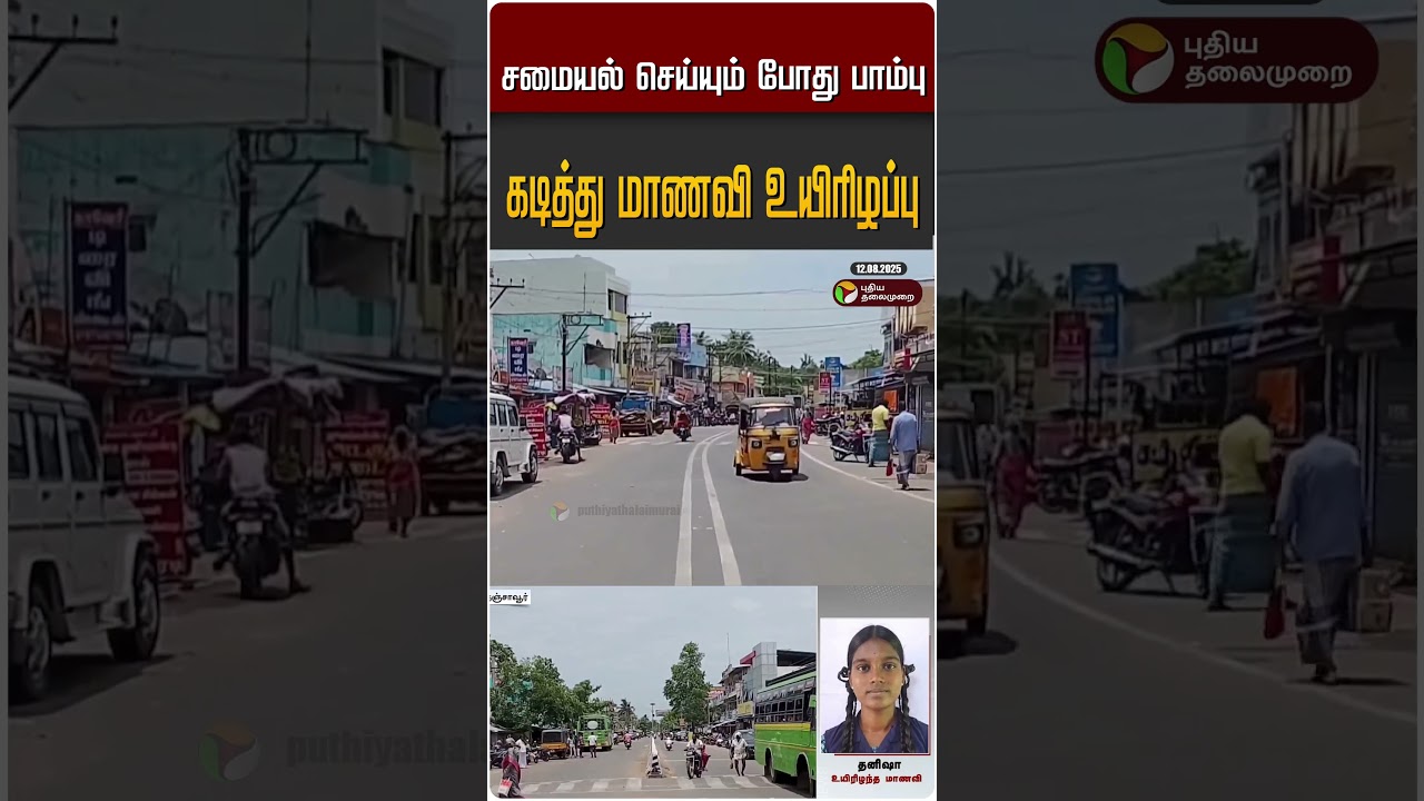 சமையல் செய்யும் போது பாம்பு கடித்து மாணவி உயிரிழப்பு #shorts #kumbakonam சமையல் செய்யும் போது பாம்பு கடித்து மாணவி உயிரிழப்பு #shorts #kumbakonam
