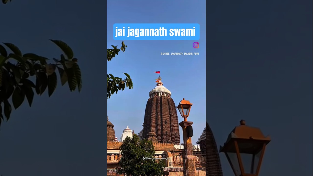 jai jagannath swami #ytshorts ja #cartoon #jayjagannathswami #premanandjipravachan #puri jai jagannath swami #ytshorts ja #cartoon #jayjagannathswami #premanandjipravachan #puri