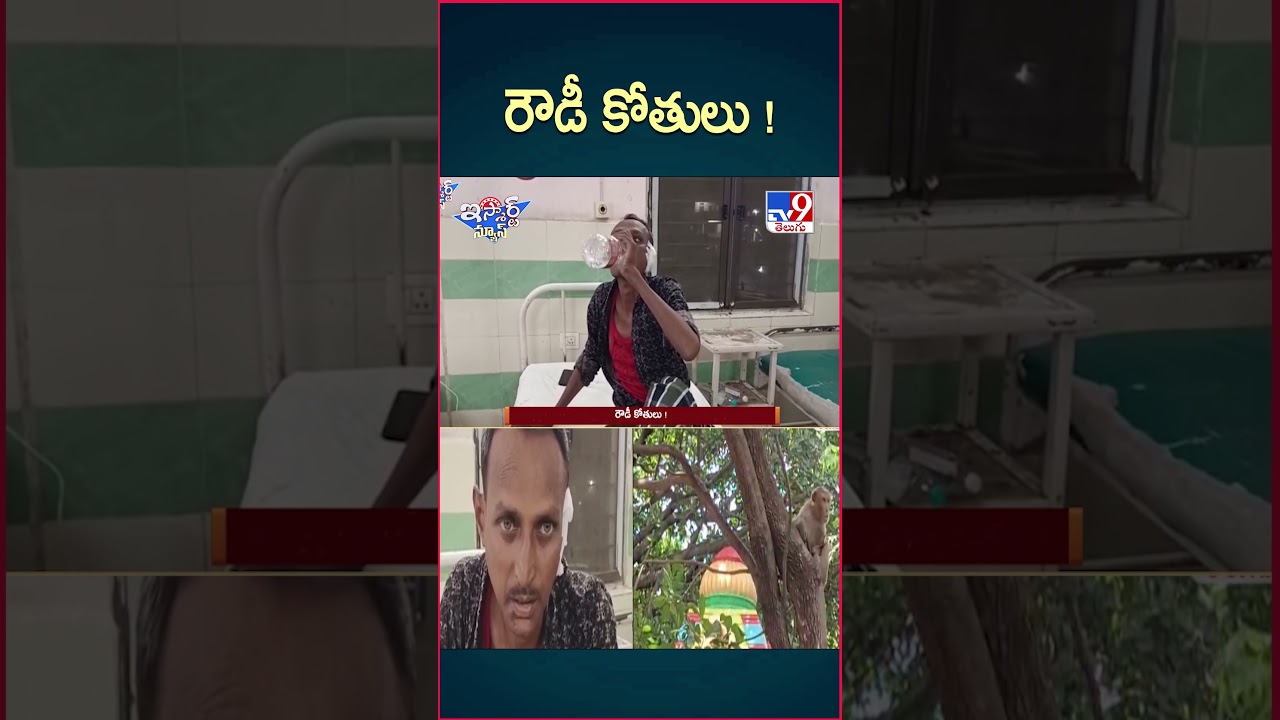iSmart News : రౌడీ కోతులు ! | Monkeys – TV9 iSmart News : రౌడీ కోతులు ! | Monkeys – TV9