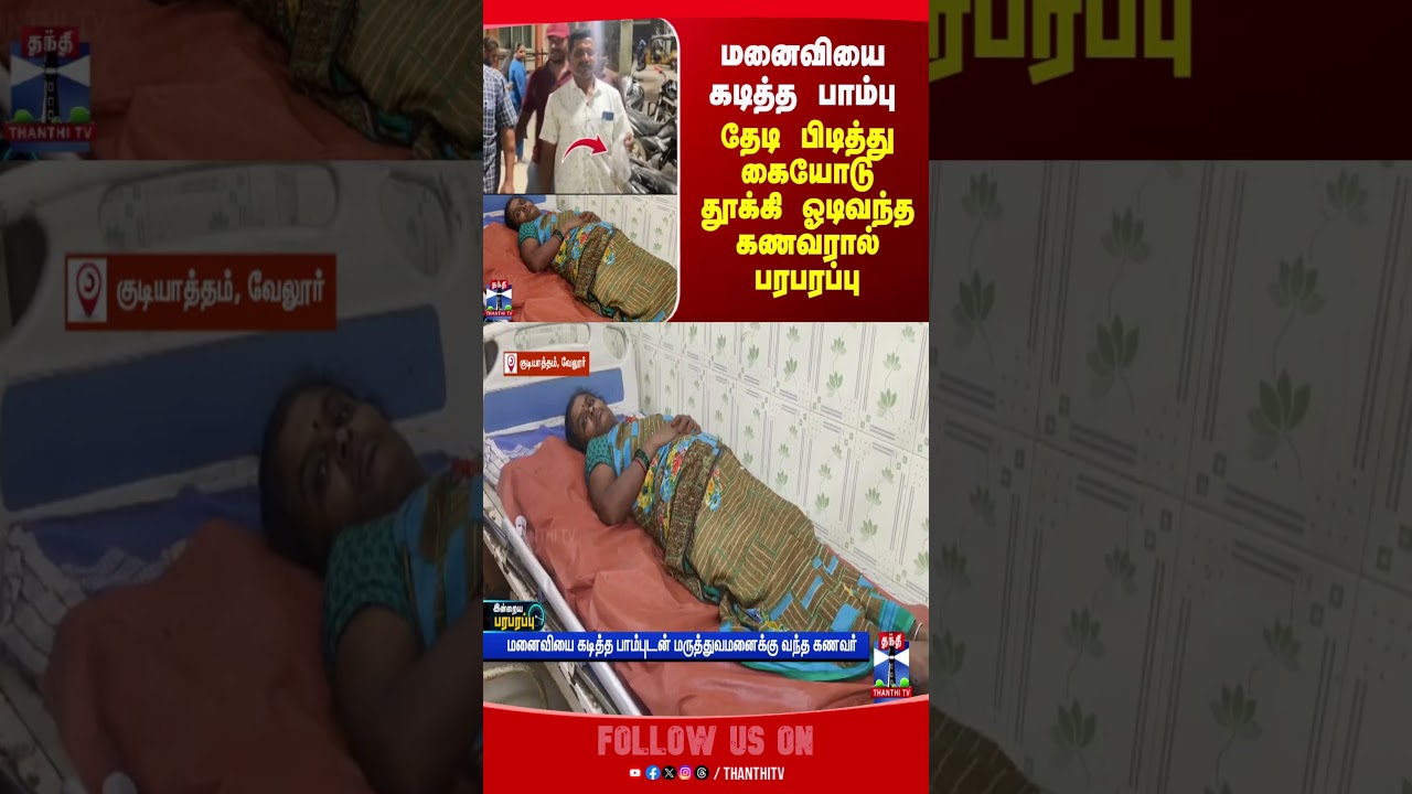 snake | Vellore | husband snake | Vellore | husband