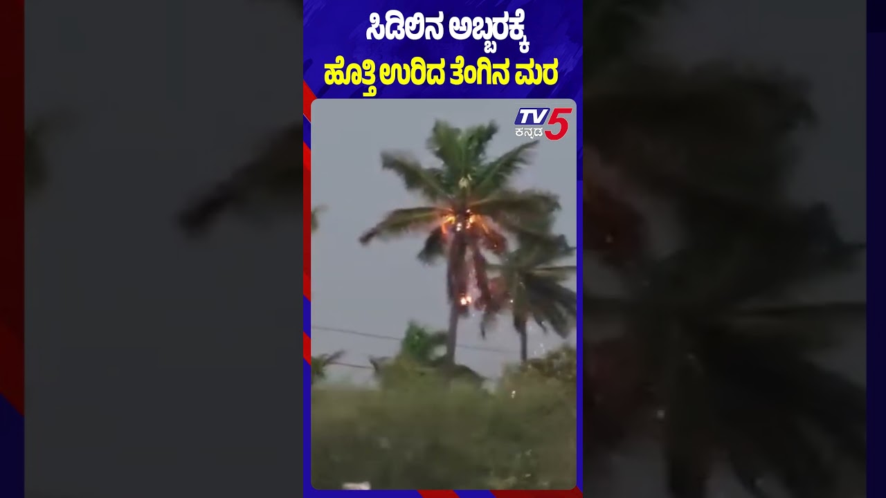 Thunderstorm Causes Tree Fire In Bagepalli ಸಿಡಿಲಿನ ಅಬ್ಬರಕ್ಕೆ ಹೊತ್ತಿ ಉರಿದ ತೆಂಗಿನ ಮರ Thunderstorm Causes Tree Fire In Bagepalli ಸಿಡಿಲಿನ ಅಬ್ಬರಕ್ಕೆ ಹೊತ್ತಿ ಉರಿದ ತೆಂಗಿನ ಮರ