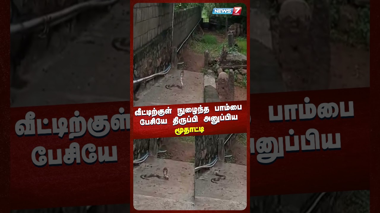 வீட்டிற்குள் நுழைந்த பாம்பை பேசியே திருப்பி அனுப்பிய மூதாட்டி வீட்டிற்குள் நுழைந்த பாம்பை பேசியே திருப்பி அனுப்பிய மூதாட்டி